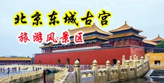 骚货大鸡巴艹爽你的骚穴视频中国北京-东城古宫旅游风景区